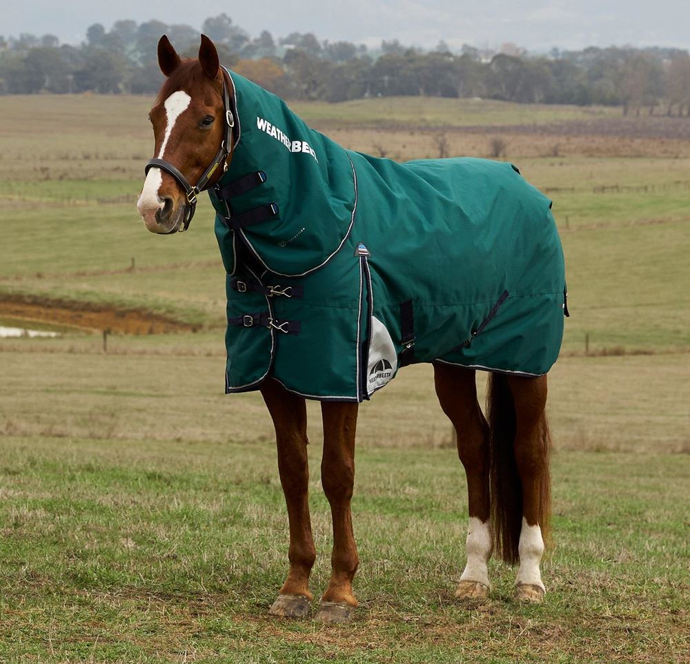 Weatherbeeta Comfitec Plus Dynamic Turnout Detach-A-Neck - 100g (Forest Green/Navy)