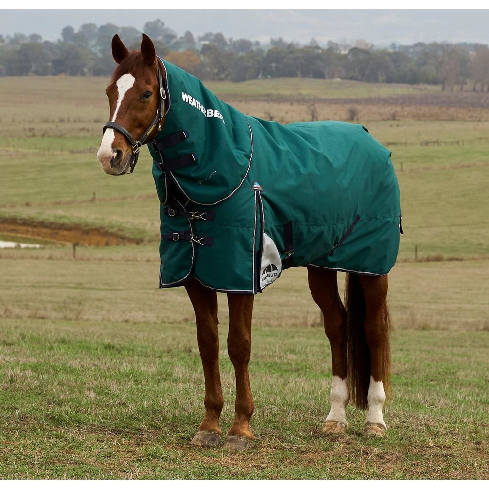 Weatherbeeta Comfitec Plus Dynamic Turnout Detach-A-Neck - 100g (Forest Green/Navy)