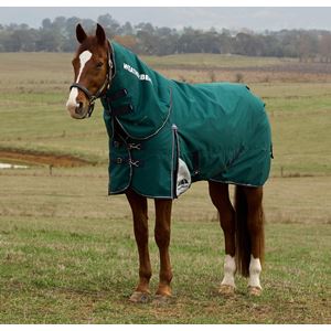 Weatherbeeta Comfitec Plus Dynamic Turnout Detach-A-Neck - 100g (Forest Green/Navy)