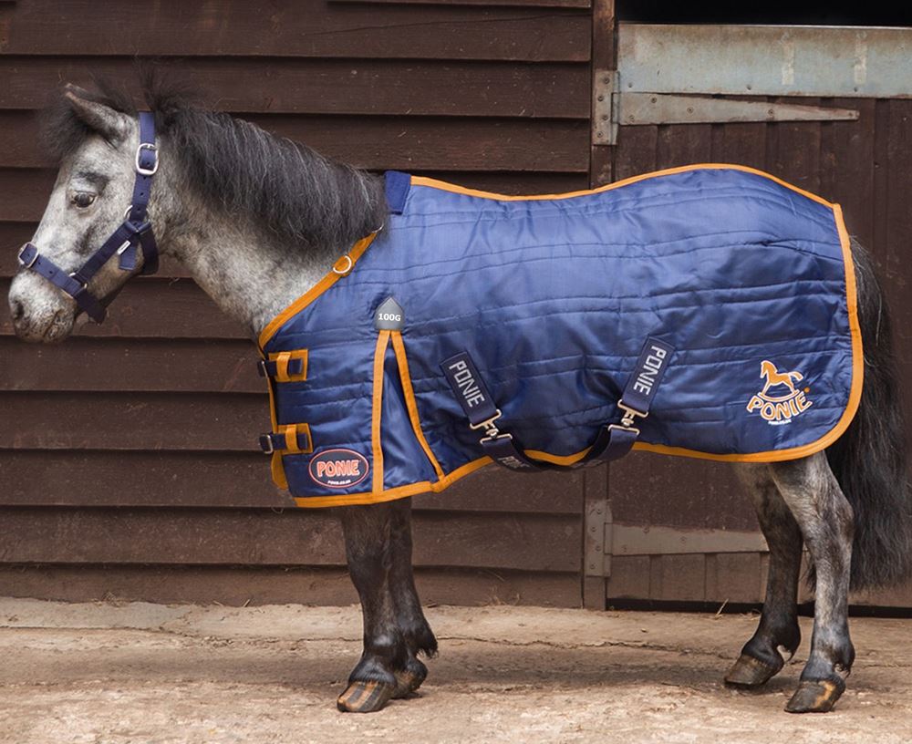 Gallop PONIE 100g Stable Rug (Navy with Orange bindings)