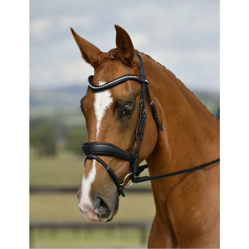 Weatherbeeta Collegiate Comfitec Opulux Padded Dressage Bridle (Black)