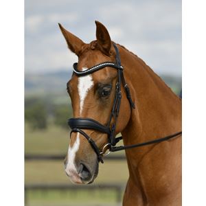 Weatherbeeta Collegiate Comfitec Opulux Padded Dressage Bridle (Black)