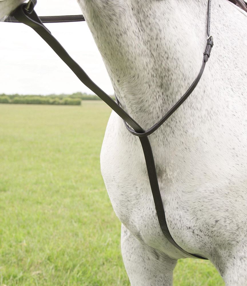 Shires Blenheim Standing Martingale