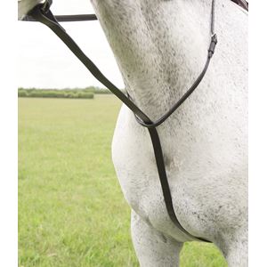 Shires Blenheim Standing Martingale