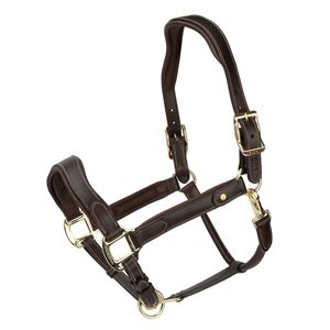 Shires Velociti Lusso Lorca Leather Headcollar (Havana)
