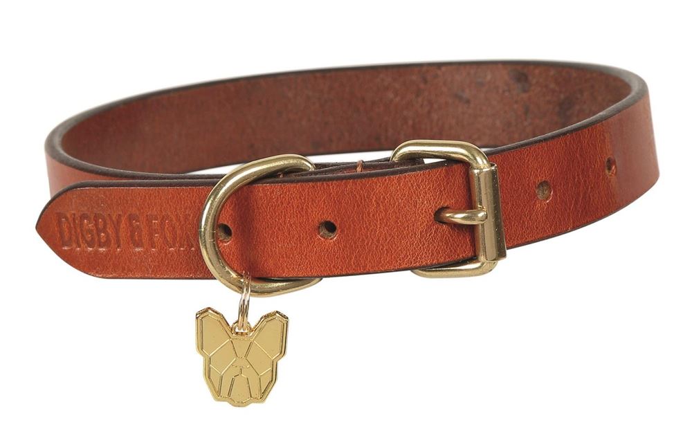 Shires Digby & Fox Flat Leather Dog Collar