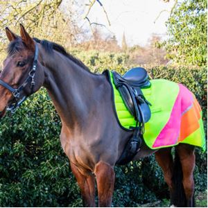 Hy Equestrian Reflector Quarter Mesh Exercise Sheet (Yellow/Pink/Orange)