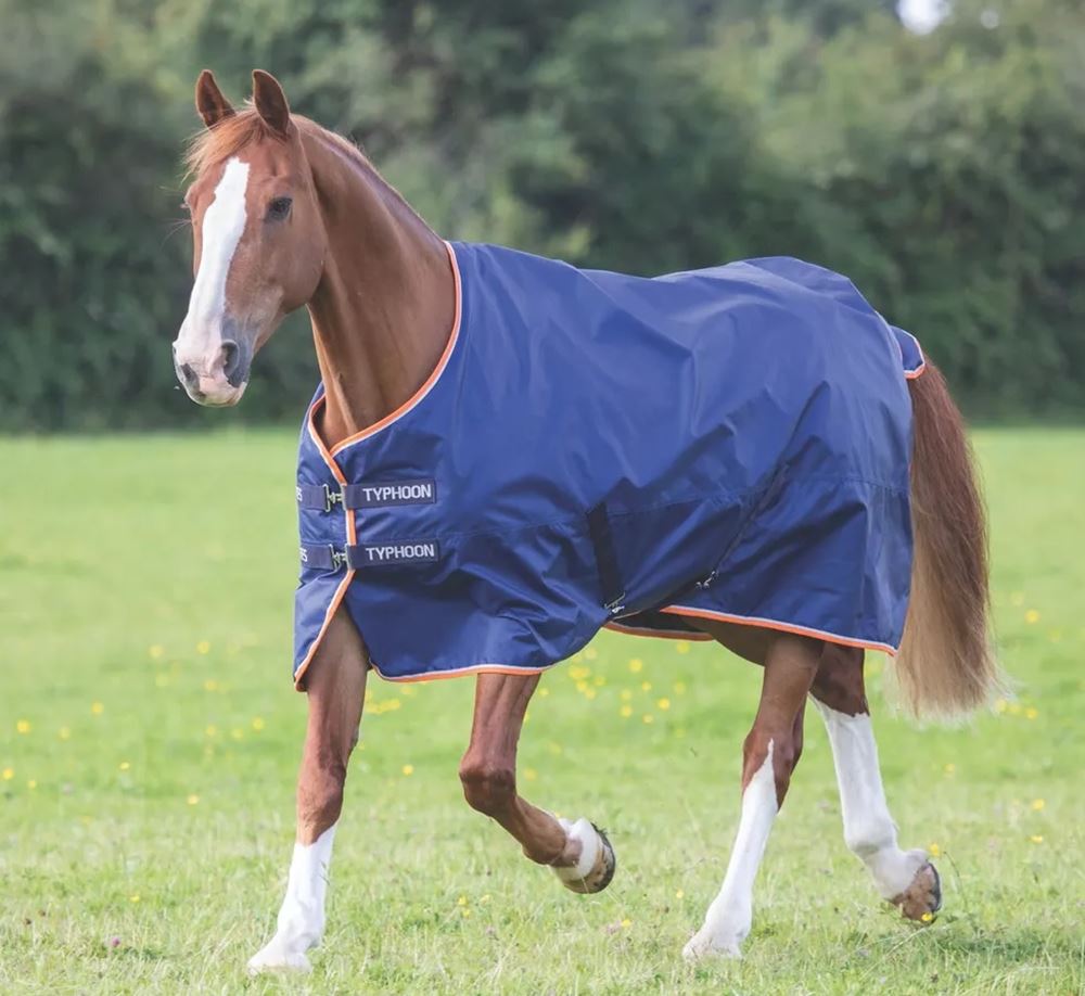 Shires Typhoon 100 Turnout Rug (Navy)