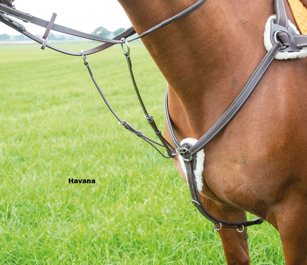 Shires Avignon 5 Point Breastplate