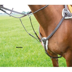 Shires Avignon 5 Point Breastplate