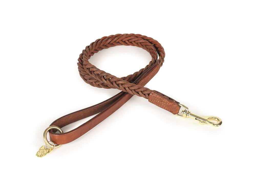 Shires Digby & Fox Plaited Dog Lead
