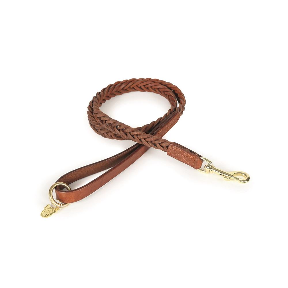 Shires Digby & Fox Plaited Dog Lead