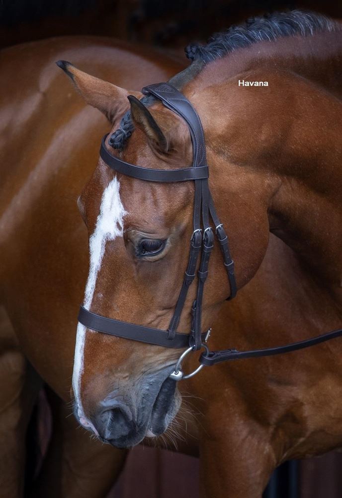 Shires Velociti RAPIDA Hunter Cavesson Bridle