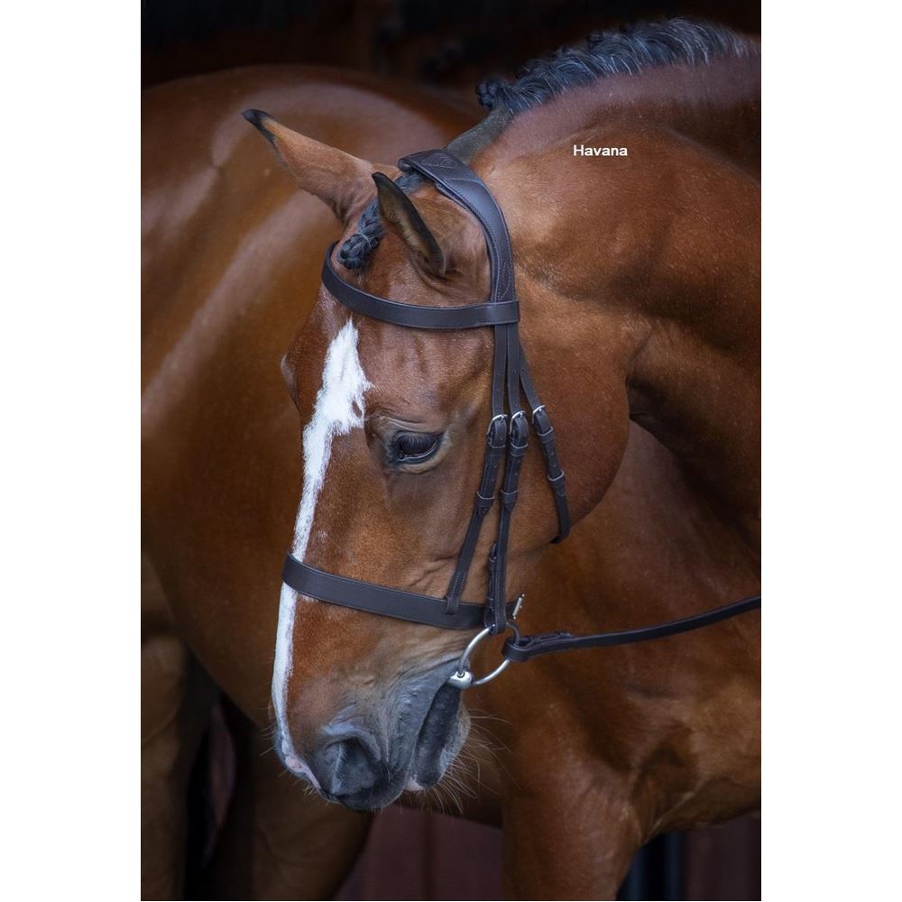 Shires Velociti RAPIDA Hunter Cavesson Bridle