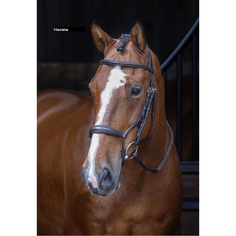 Shires Velociti RAPIDA Rolled Padded Cavesson Bridle