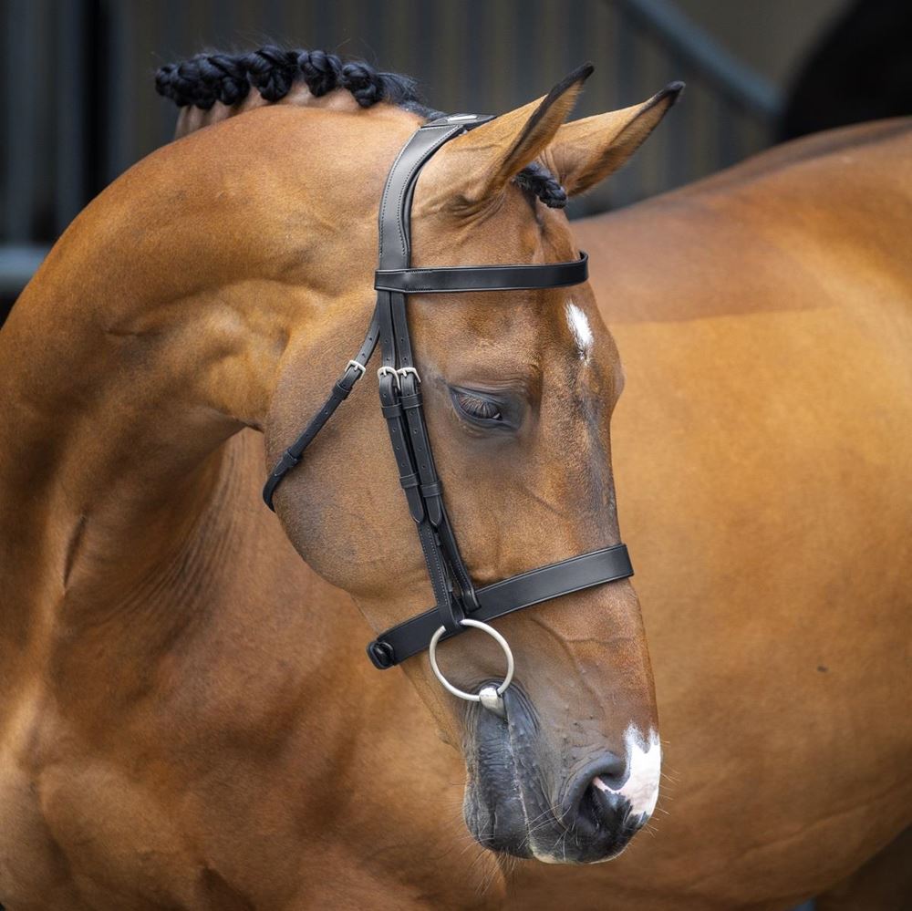 **barcodes/brand*Shires Velociti Lusso Hunter Cavesson Bridle (Black)