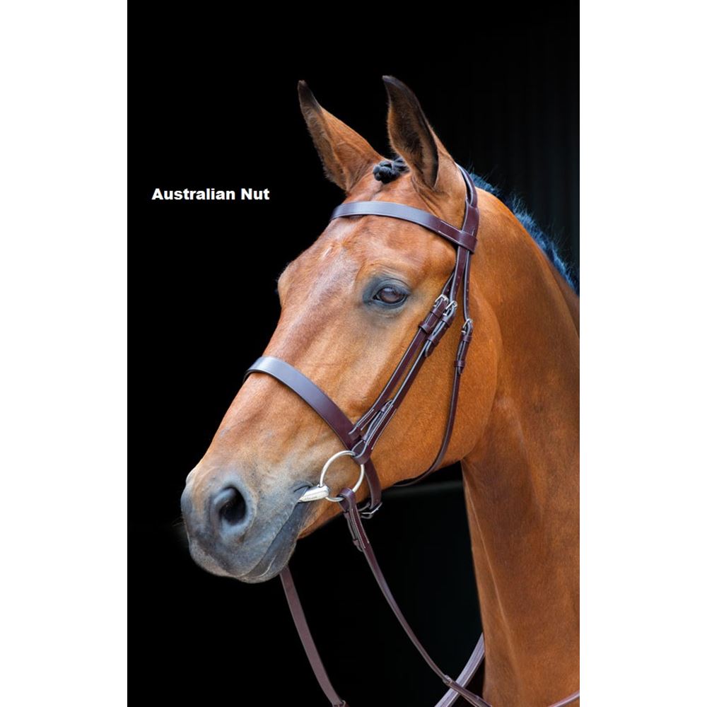 Shires Salisbury Berrington Bridle