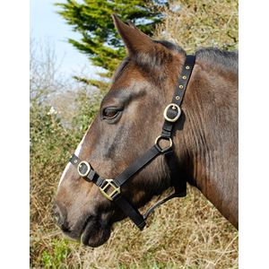 Rhinegold Nylon Headcollar (Black)