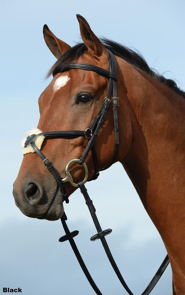 Collegiate Syntovia+ Padded Raised Grackle Bridle