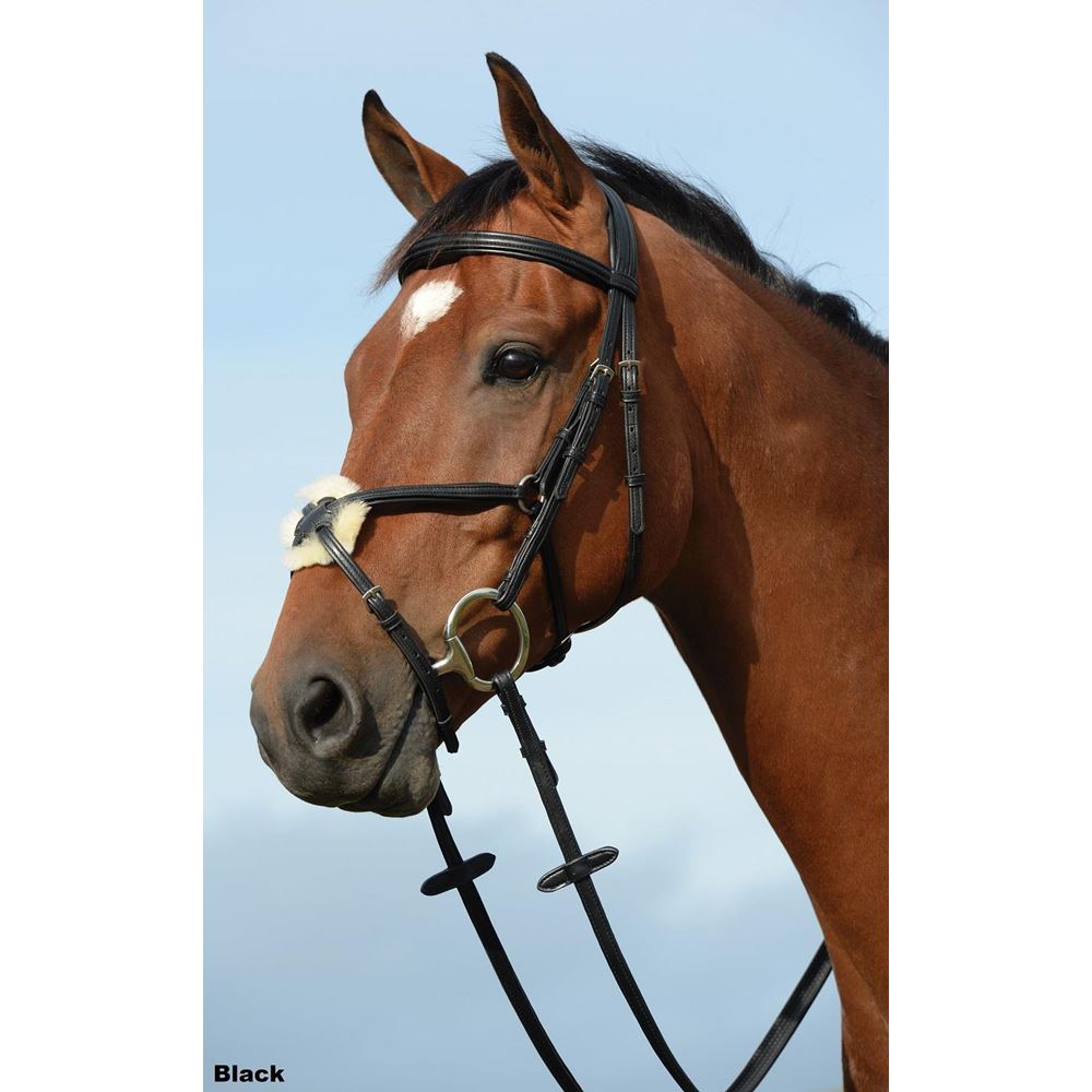 Collegiate Syntovia+ Padded Raised Grackle Bridle