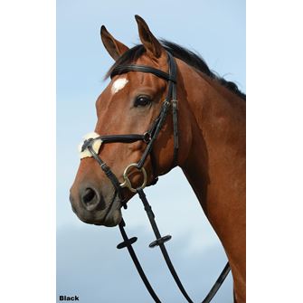Collegiate Syntovia+ Padded Raised Grackle Bridle