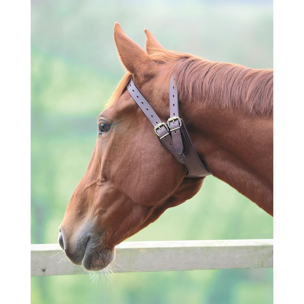 Shires Anti-Crib Collar