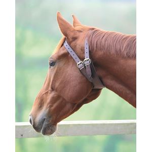 Shires Anti-Crib Collar
