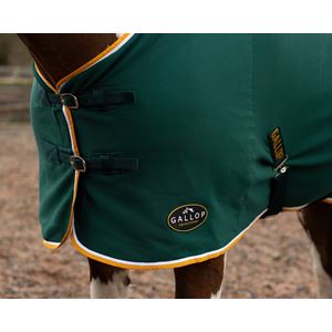 Gallop Jersey Cooler Rug (Green)