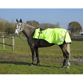 Rhinegold 3/4 Length Cutaway Waterproof Ride-On Rug (Bright Yellow)