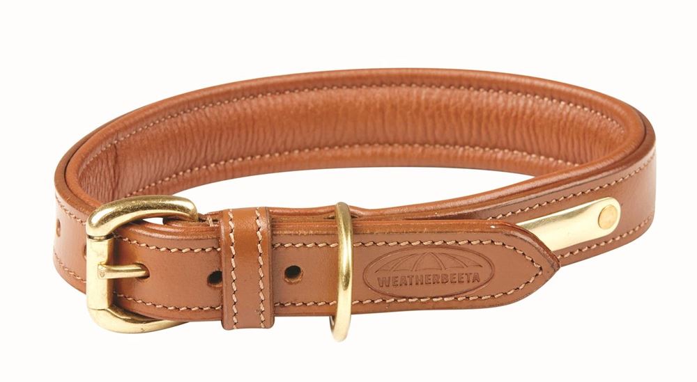 Weatherbeeta Padded Leather Dog Collar (Small)