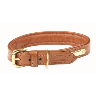 Weatherbeeta Padded Leather Dog Collar (Small) *Clearance*
