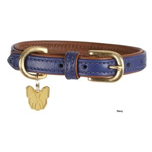 Shires Digby & Fox Padded Leather Dog Collar (L)