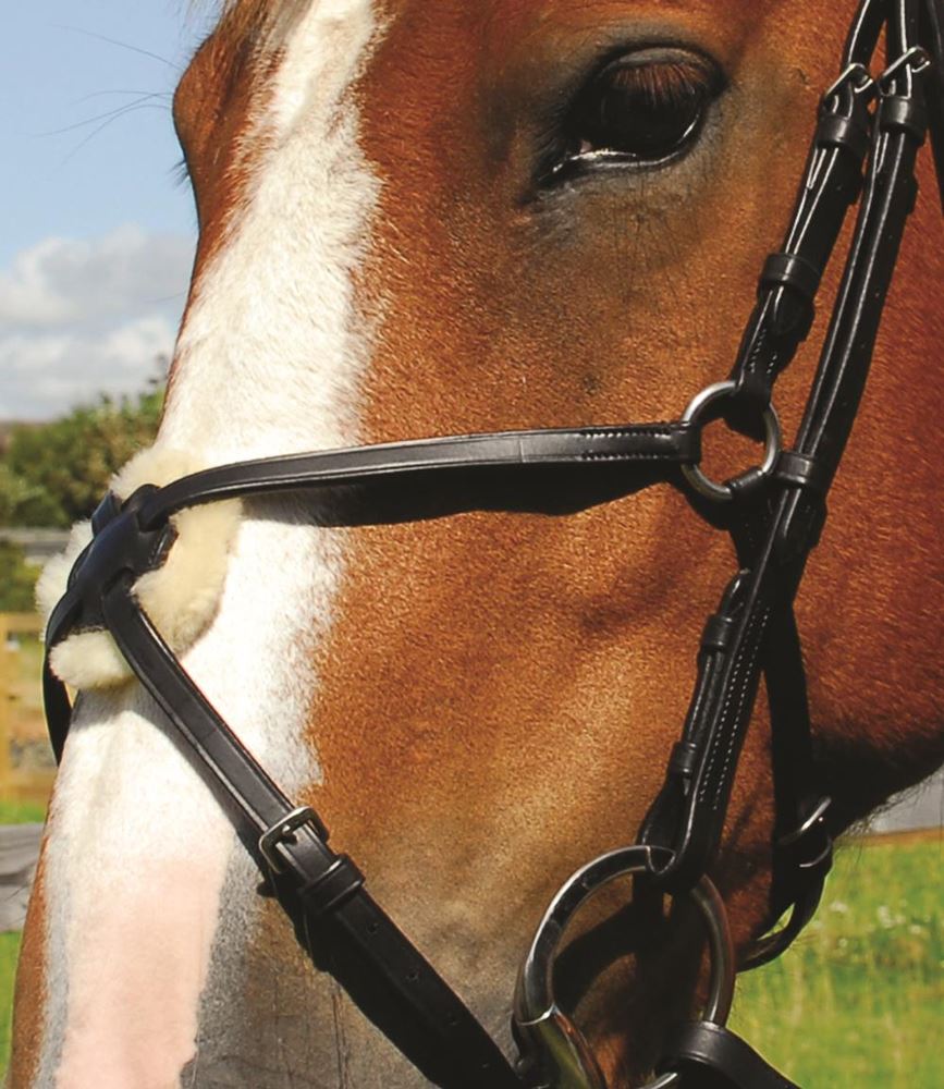 Heritage Saddlery English Leather Bridle with Mexican Noseband