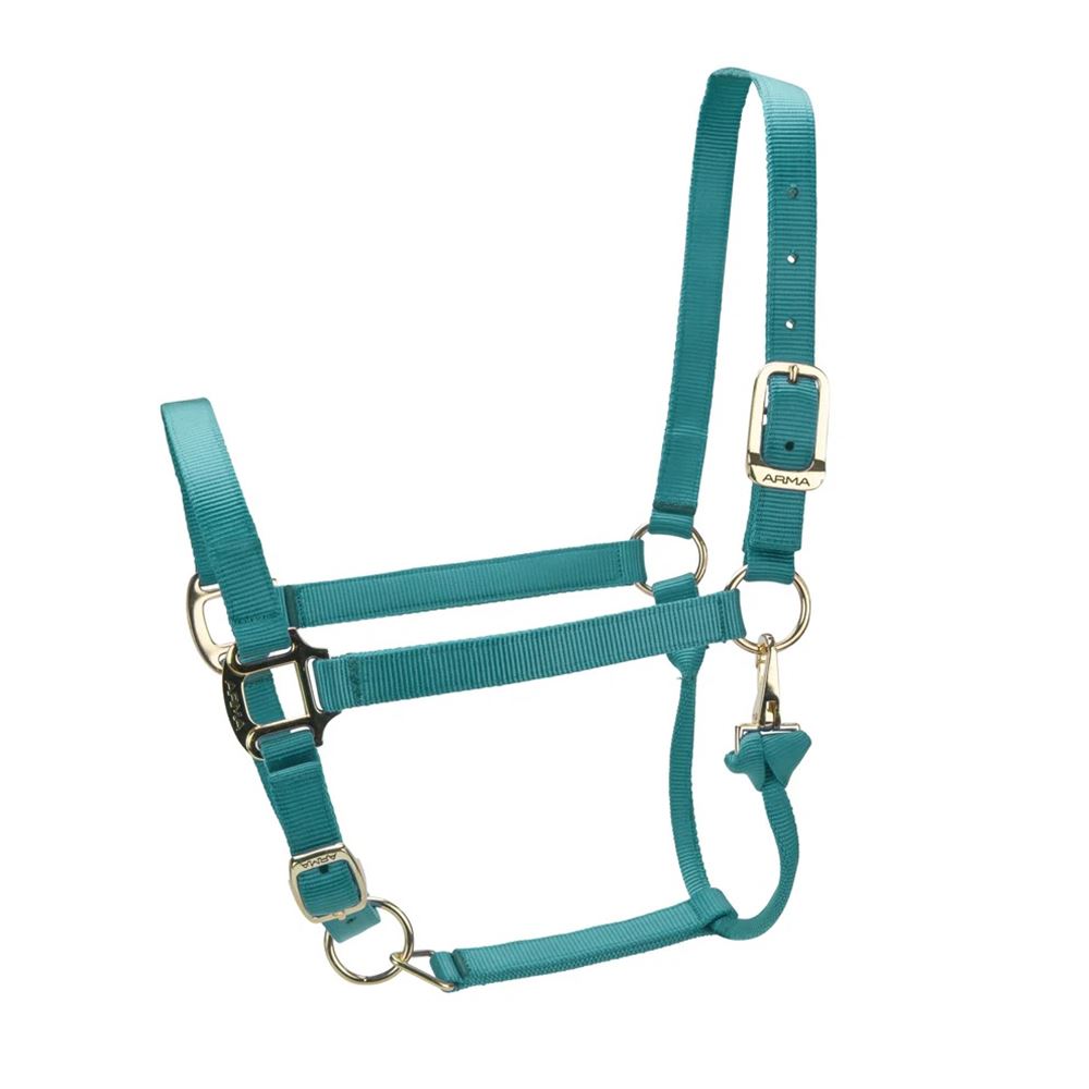 Shires ARMA Premium Adjustable Headcollar (Teal)