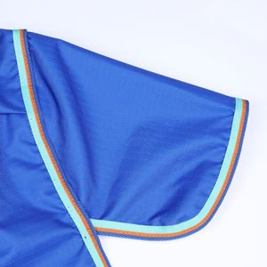 Shires Tempest Original 50g Combo Turnout Rug (Royal)