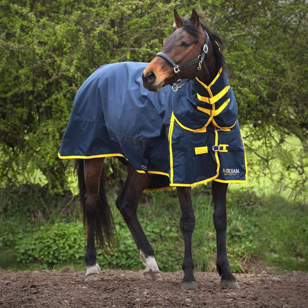 Gallop Trojan 200 Combo Turnout Rug - 200g (Navy/Yellow)