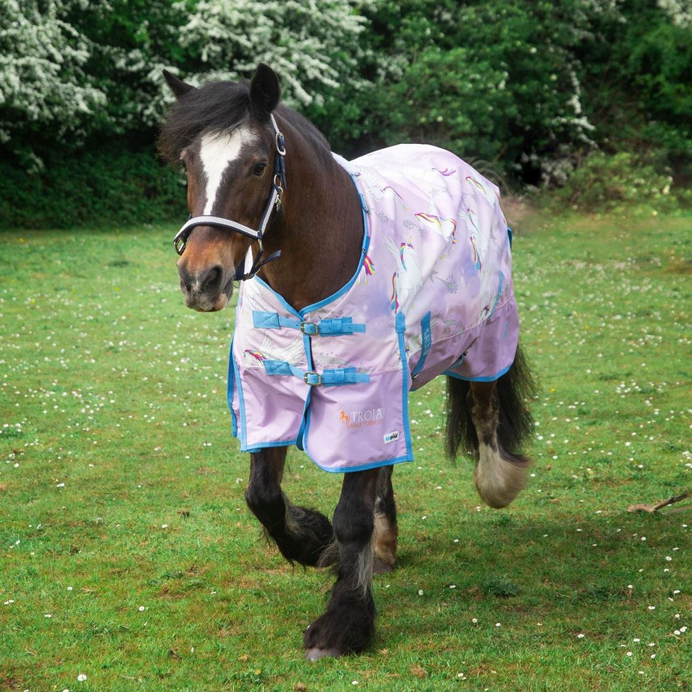 Gallop 600D 'Pegacorn' Print DURAPROOF Lightweight Turnout Rug