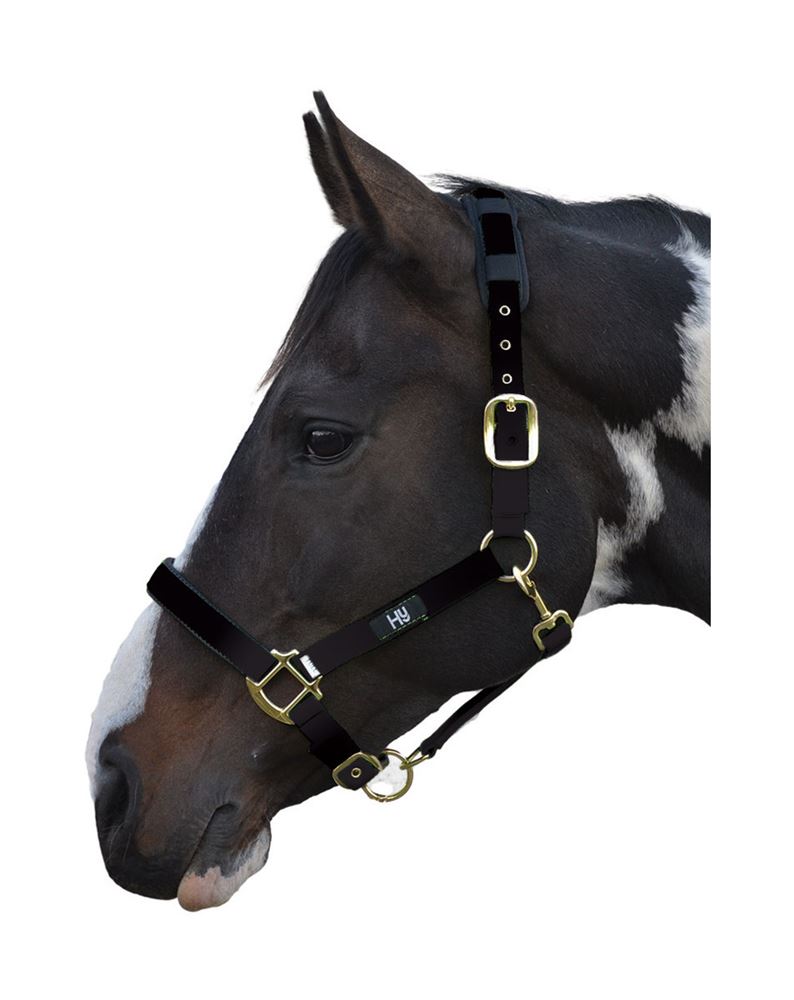 Hy Deluxe Padded Head Collar