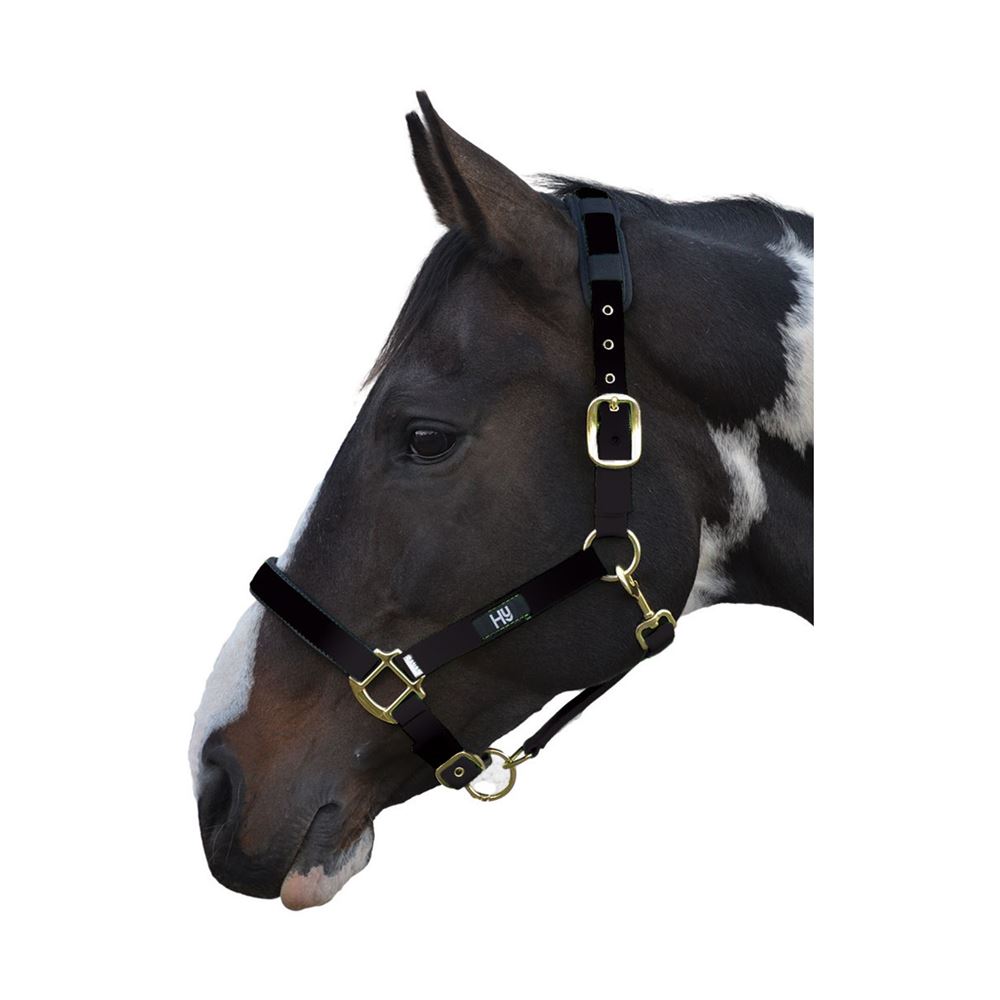 Hy Deluxe Padded Head Collar