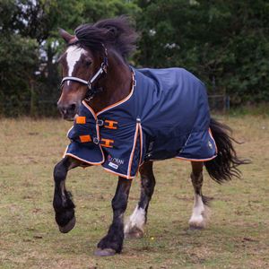 Gallop Trojan DURAPROOF 100g 5-Point Standard Neck Turnout Rug (Navy/Orange/White)