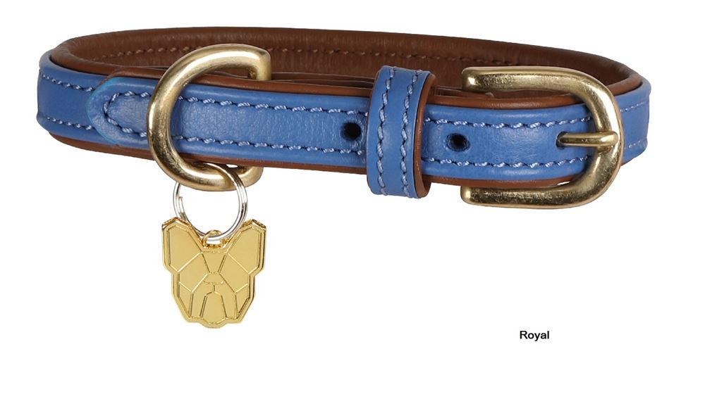Shires Digby & Fox Padded Leather Dog Collar (L)