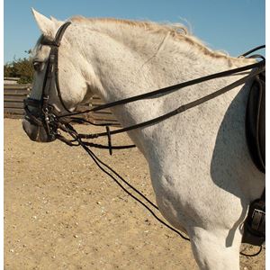 Rhinegold Leather Draw Reins With Rope Insert