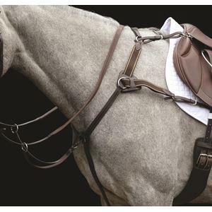 Collegiate 5 Point Breastplate