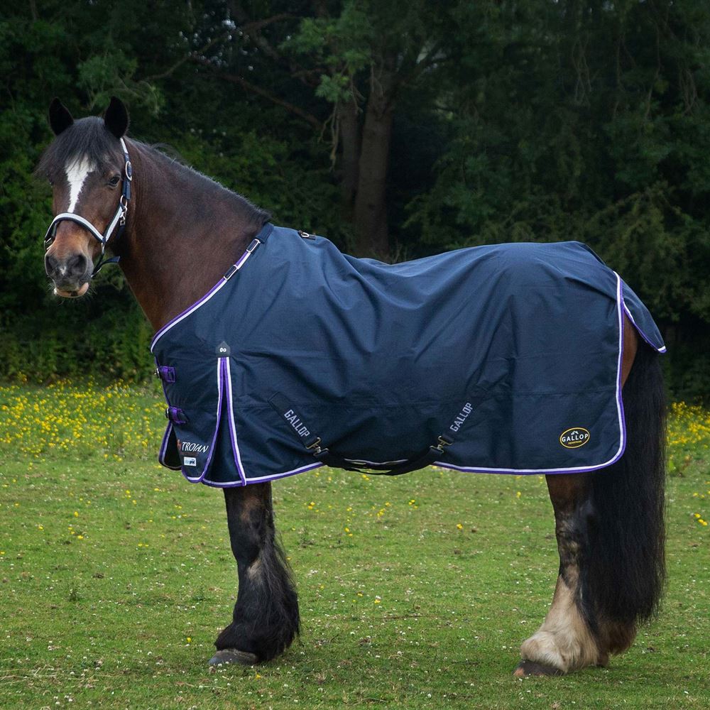 Gallop Trojan DURAPROOF Lightweight Turnout Rug (Navy/Purple)