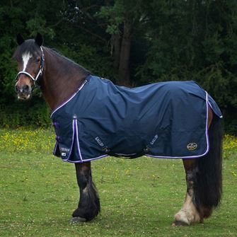 Gallop 600D Trojan DURAPROOF Lightweight Turnout Rug (Navy/Purple)