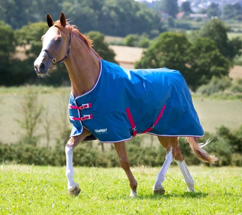 Shires Tempest Original Lite Turnout Rug (Teal)