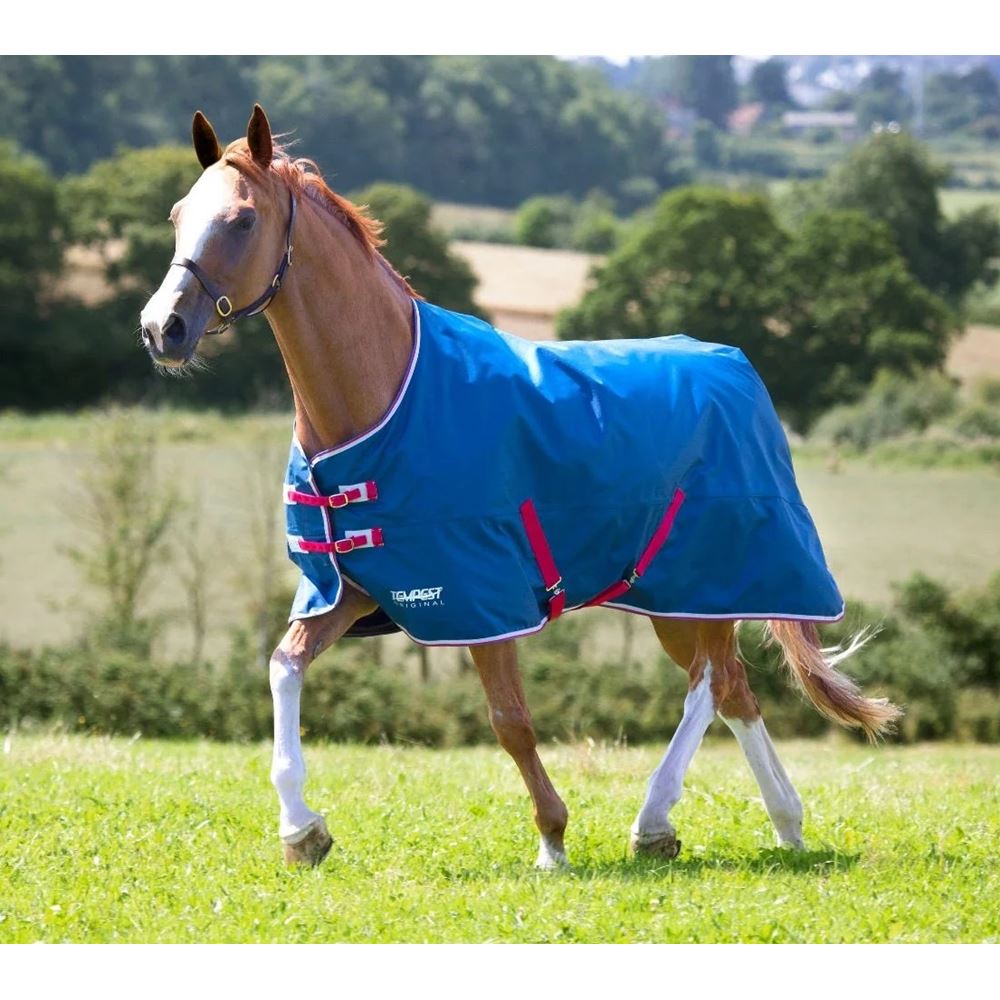 Shires Tempest Original Lite Turnout Rug (Teal)