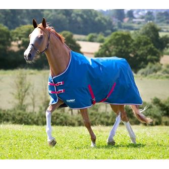 Shires Tempest Original Lite Turnout Rug (Teal)