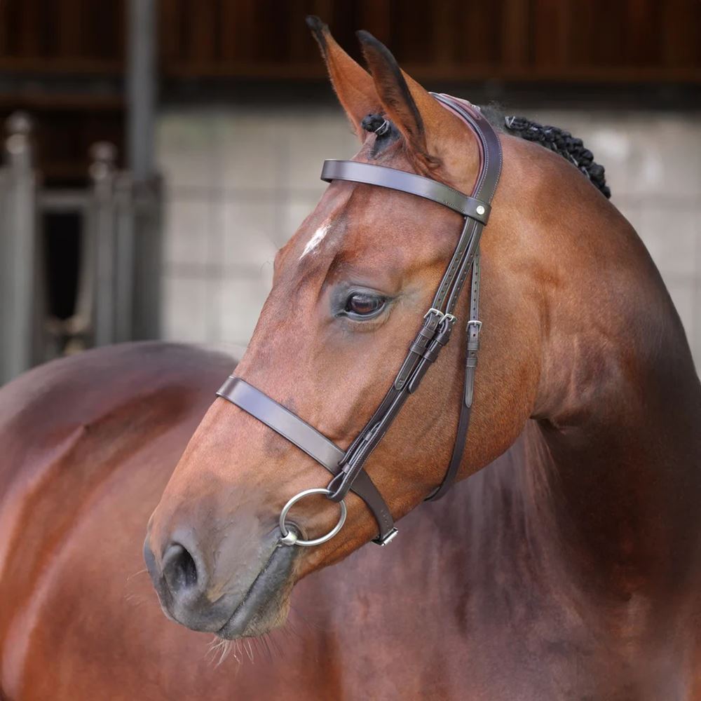 Shires Velociti LUSSO Elite Hunter Bridle (Havana)