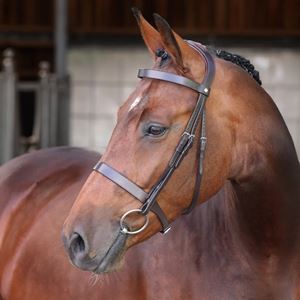 Shires Velociti LUSSO Elite Hunter Bridle (Havana)